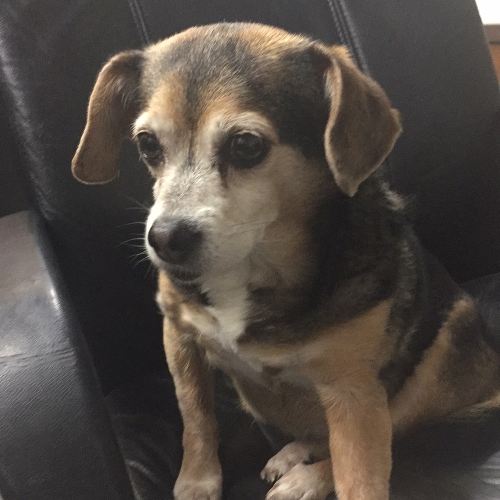 Meet your Posher, Zach